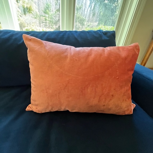 Crate&Barrel Other - 2 CRATE & BARREL DECOR PILLOWS